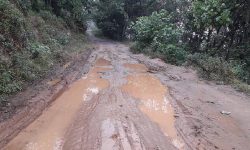 घटस्थापना अगाडि सडक मर्मत गरिसक्न निर्देशन