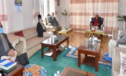 संवैधानिक परिषद्को बैठक स्थगित