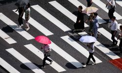 उष्ण लहरले दक्षिण कोरियामा बन्दागोभीको मूल्य बढाउँदा किम्ची खतरामा