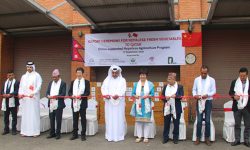 नेपालमा उत्पादित तरकारी कतार निर्यात गर्न सुरु