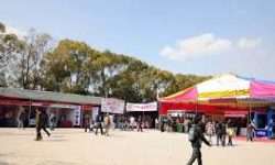 भृकुटीमण्डपमा आइतबारदेखि दसैँ महोत्सव