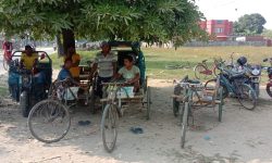 इलेक्ट्रिक रिक्साले विस्थापित हुँदै ठेला मजदुर