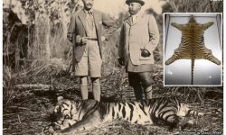 कुनै बेलाका फिनलैण्डका राष्ट्रपतिको नेपाल शिकार यात्रा