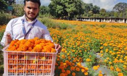 नगरवासीलाई सहुलियत शुल्कमा फूल