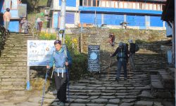 पुनहिल–घोडेपानीमा पर्यटक आगमन उत्साहजनक