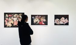 एमक्युब ग्यालरीमा दुई विदेशीका कला प्रदर्शन