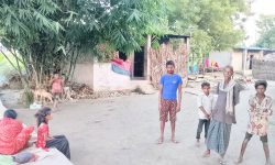 दसैँमा प्रतापपुरका मुसहरलाई ‘हातमुख जोर्नै’ समस्या