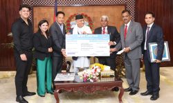 प्रधानमन्त्री दैवी प्रकोप उद्धार कोषमा स्वदेशी र विदेशी जलविद्युत् कम्पनी तथा वित्तीय संस्थाको सहयोग