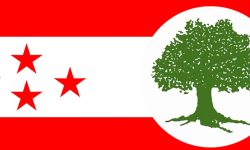 प्रतिकुलतासँग जुध्नका लागि सरकार, दलहरु र नागरिकलाई सजग रहन अपिल