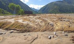 पाकेर लहलह झुलेको धान बाढीले सखाप, खेत बन्यो बगर