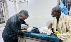 स्यालको आक्रमणबाट १३ जना घाइते