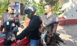 खाद्य कम्पनीमा सस्तो र स्वस्थ खसीबोका तथा उपभोग्य सामग्री पाउँदा उपभोक्ता मख्ख