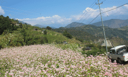 म्याग्दीका छ सय घरमा विद्युत् सुविधा विस्तार