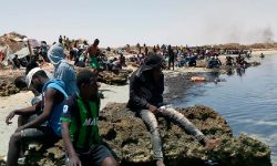 ट्युनिसिया समुद्री तटमा १५ आप्रवासीको शव फेला