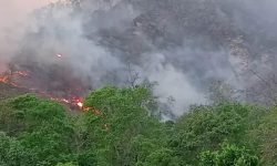 वन डढेलोको धुवाँ स्वास्थ्यका लागि ठूलो खतरा