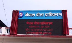 बिमा प्राधिकरणकाे अध्यक्षमा शरद ओझा