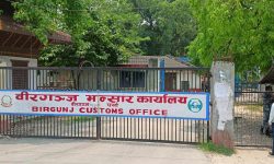 राजस्व सङ्कलनको लक्ष्य पूरा गर्नेतर्फ उन्मुख वीरगञ्ज भन्सार