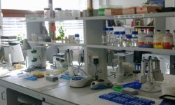 कर्णालीमा विषादी परीक्षण प्रयोगशाला सञ्चालन