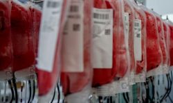 चितवनमा रगतको अभाव