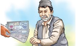 एकल पुरुषलाई सामाजिक सुरक्षा भत्ता