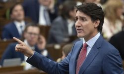 क्यानाडाले आप्रवासीलाई भिसा कम गर्ने , नेपालमा पनि असर ?