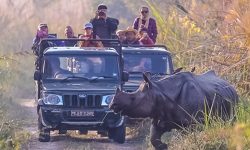 फूलपातीदेखि चितवन निकुञ्जभित्र जीप सफारी