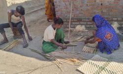 नाङ्लो बेचेर गुजारा गर्दै लहानका सदाय समुदाय