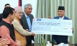 प्रधानमन्त्रीलाई काँग्रेसको ध्यानाकर्षण, उद्धार कोषमा पचास लाख हस्तान्तरण