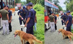 धरानमा तालिम प्राप्त कुकुरसहित प्रहरी चेकजाँच सुरु