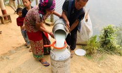 सहकारीमार्फत दूधको बजारीकरण भएपछि किसान उत्साहित