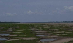 गएको वर्ष विश्वभरका नदीहरूका लागि विगत ३३ वर्षमा सबैभन्दा सुक्खा वर्ष