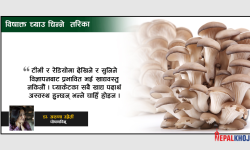 ‘आकर्षक च्याउ प्राय: विषाक्त हुन्छन्’