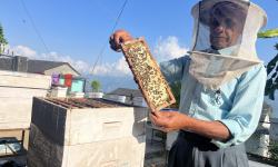 मह बेचेर वार्षिक १२ लाख बढी आम्दानी