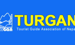 अनुमतिपत्र नलिई पर्यटक घुमाउने पथप्रदर्शक कारबाहीमा