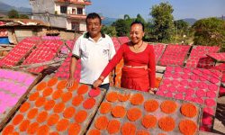 आयआर्जनको बलियो माध्यम झिनिया व्यवसाय