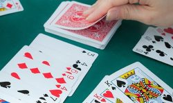 जुवा खेलिरहेको अवस्थामा २१ जना पक्राउ