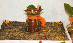 घटस्थापनासहित जमरा राखी बडादसैँ सुरु