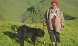 ‘कुकुरबिनाको गोठालाको कल्पना गर्न सकिदैन’