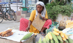 मकै बेचेर जीवन निर्वाह