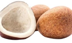 चाडवाडका लागि भित्रियो ३२ करोडको नरिवल