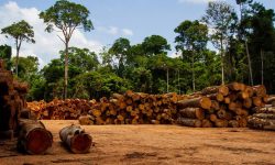 प्राकृतिक स्रोतमा गरिबको पनि समान पहुँच