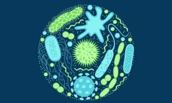 खतरनाक हुँदै एन्टिमाइक्रोबियल रेजिस्टेन्स 