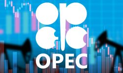 तेलको बिकल्प कल्पना मात्र हो : ओपेक