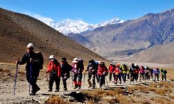 ११ लाख ४७ हजार पर्यटक नेपाल भित्रिए