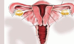 पाठेघरको मुखको क्यान्सरसम्बन्धी अभिमुखीकरण कार्यक्रम