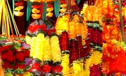 कोहलपुरमा र कैलालीमा प्लाष्टिकका फूलगुच्छा प्रयोगमा प्रतिबन्ध