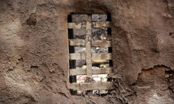 बाढी, पहिरो बढ्नुमा मानवीय गतिविधि कति जिम्मेवार ?