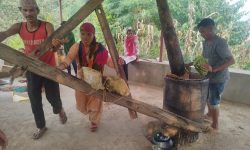 चिउरीको दाना पेलेर घ्यूको जोहो गरिँदै