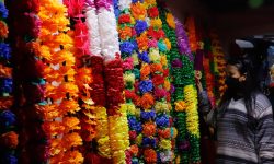 थाहा नगरपालिकामा प्लाष्टिकका फूल प्रतिबन्धित