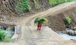 पर्वतका सबै ग्रामीण सडक सञ्चालन